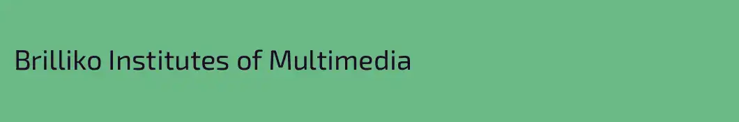 Brilliko Institutes of Multimedia